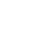 Špeciálne nadčasové prvky